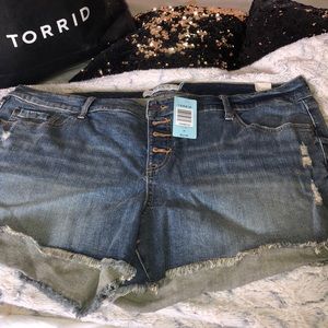 NWT Torrid jean shorts